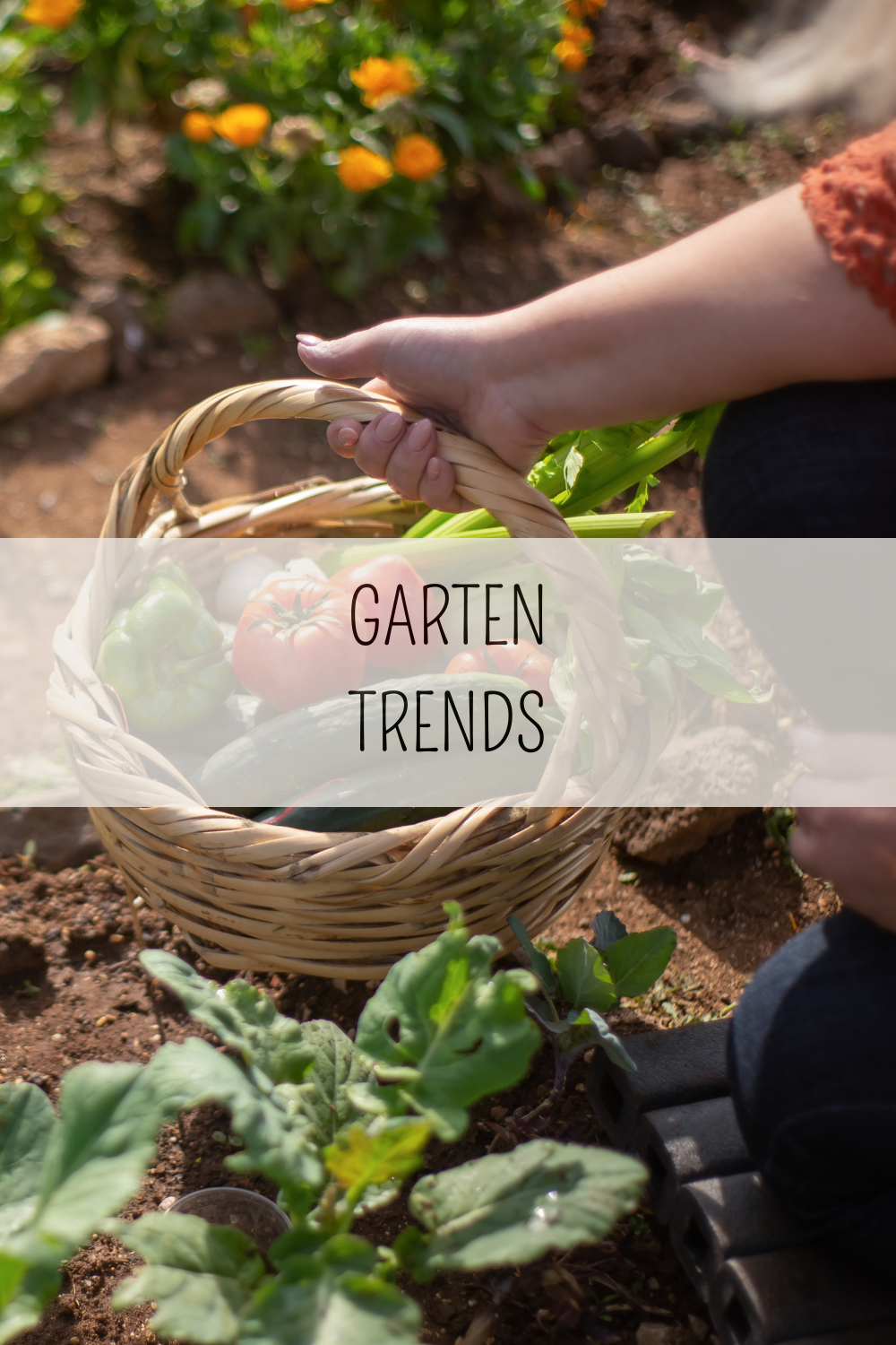 Die Top-Gartentrends des Jahres: Ideen für Ihren eigenen grünen&nbsp;Rückzugsort